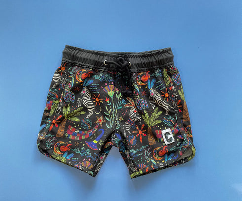 Boardies in Celestial Circus